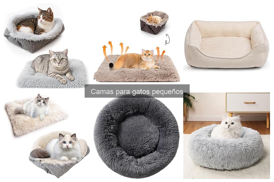 Cómo elegir la cama ideal para gatos pequeños