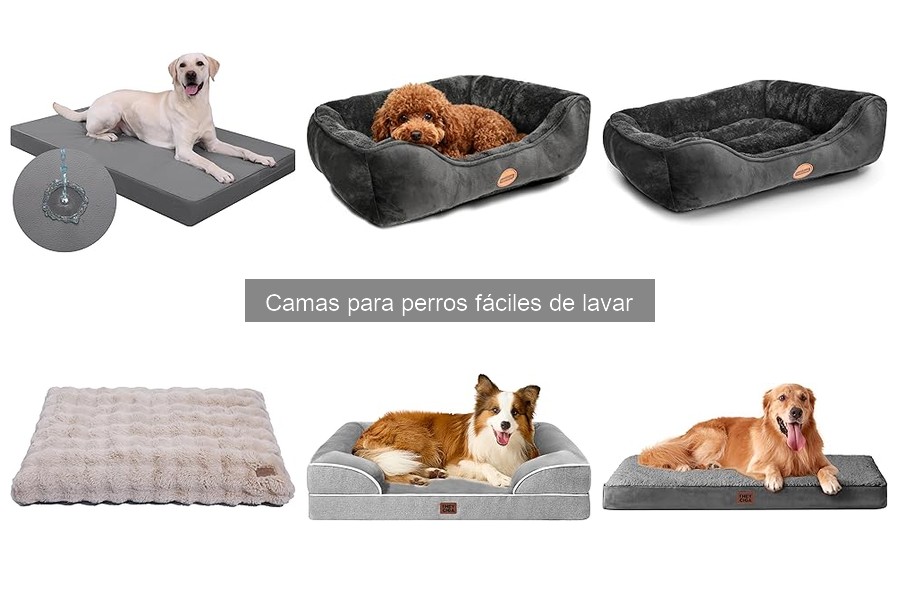 Cómo Elegir la Cama para Perro Fácil de Lavar Ideal