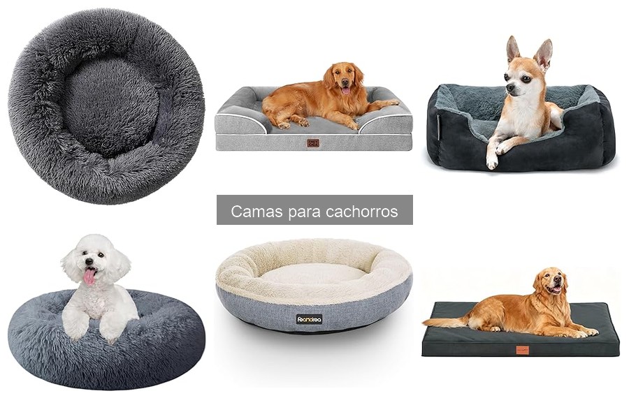 Cómo elegir la cama perfecta para tu cachorro