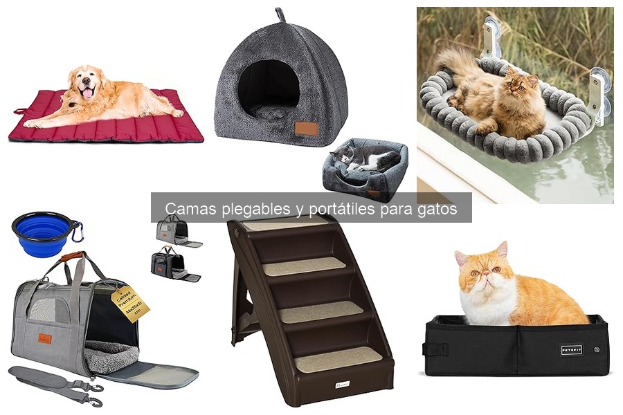 Cómo elegir la cama plegable ideal para tu gato