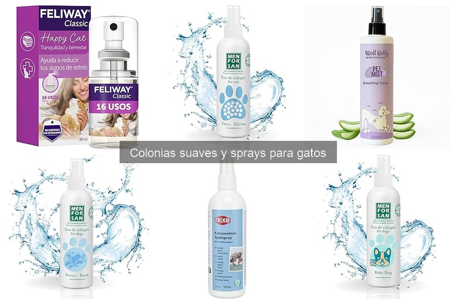 Cómo elegir la colonia suave perfecta para tu gato