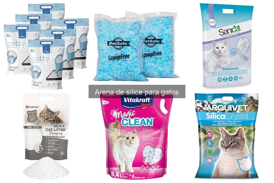 Cómo elegir la mejor arena de sílice para gatos