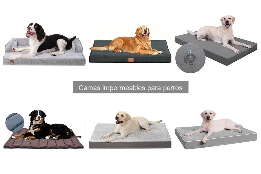 Cómo elegir la mejor cama impermeable para perros