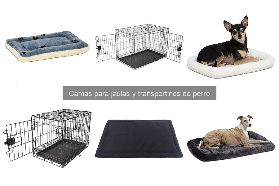 Cómo elegir la mejor cama para la jaula de tu perro