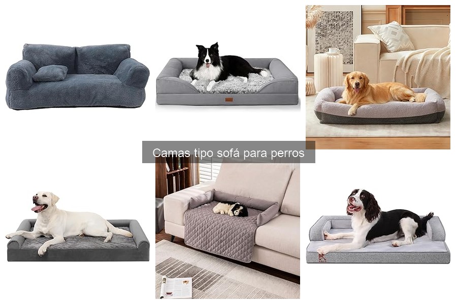 Cómo Elegir la Mejor Cama Tipo Sofá para tu Perro