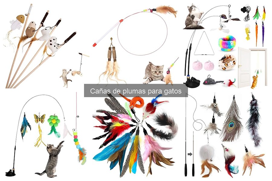 Cómo Elegir la Mejor Caña de Plumas para Gatos