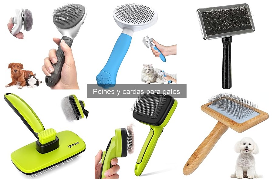 Cómo elegir la mejor carda para tu gato: guía de compra