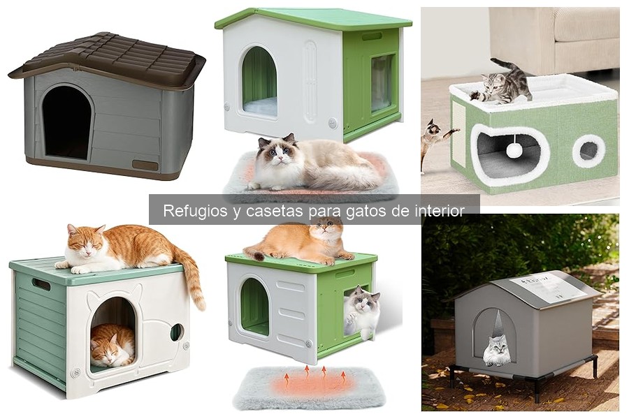 Cómo elegir la mejor caseta para gatos de interior
