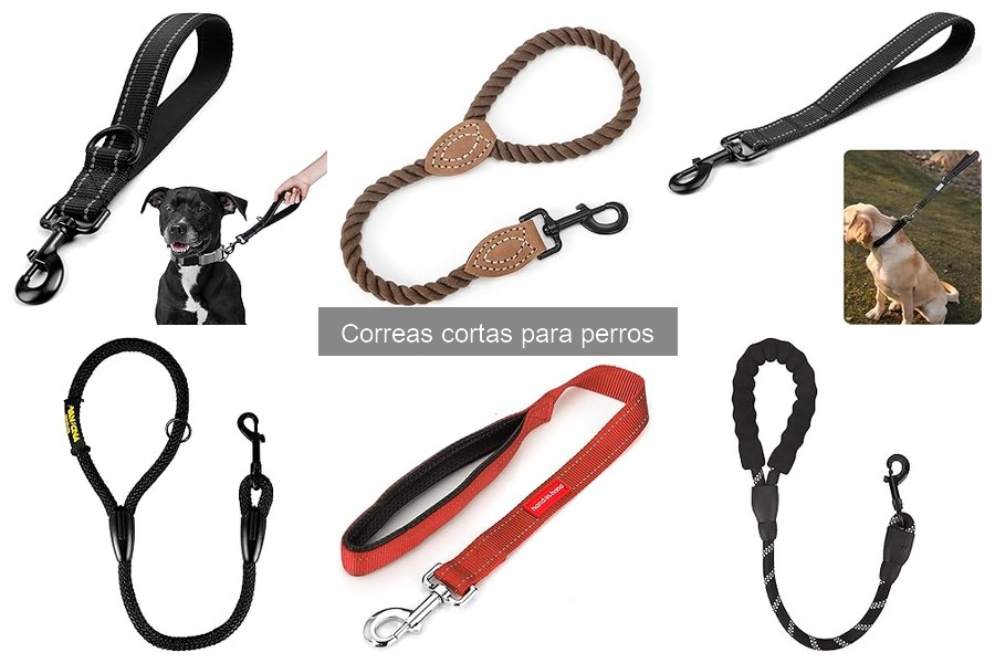 Cómo Elegir la Mejor Correa Corta para Tu Perro