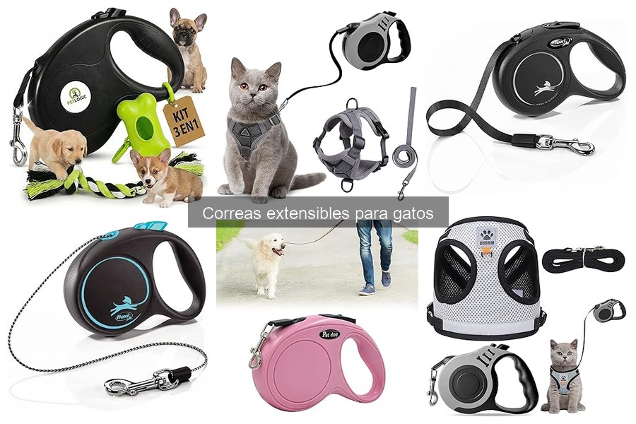 Cómo elegir la mejor correa extensible para mi gato