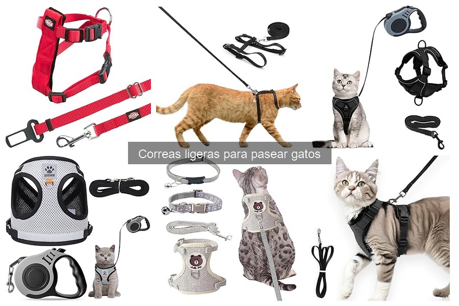 Cómo elegir la mejor correa ligera para tu gato