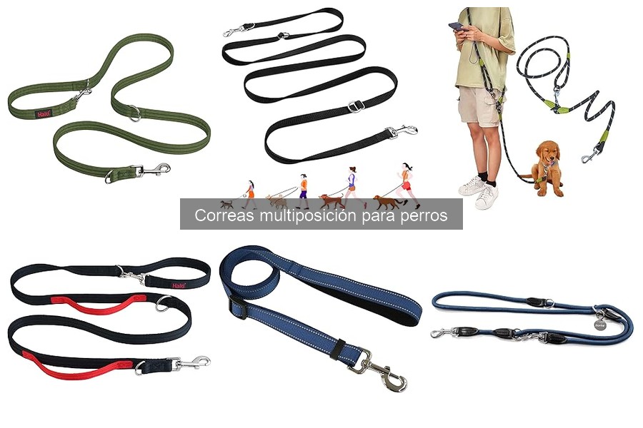Cómo elegir la mejor correa multiposición para tu perro