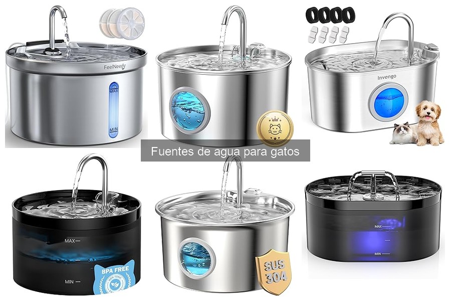 Cómo elegir la mejor fuente de agua para gatos