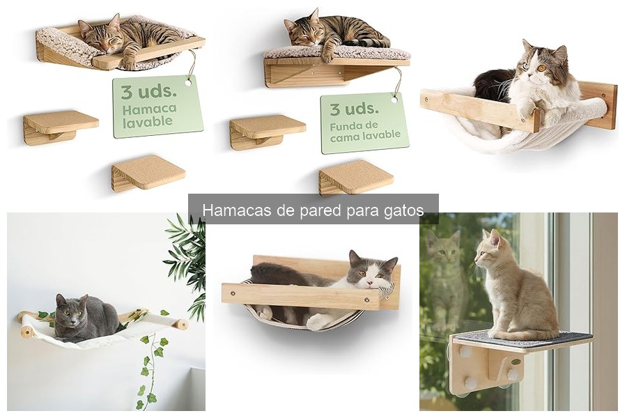 Cómo elegir la mejor hamaca de pared para gatos