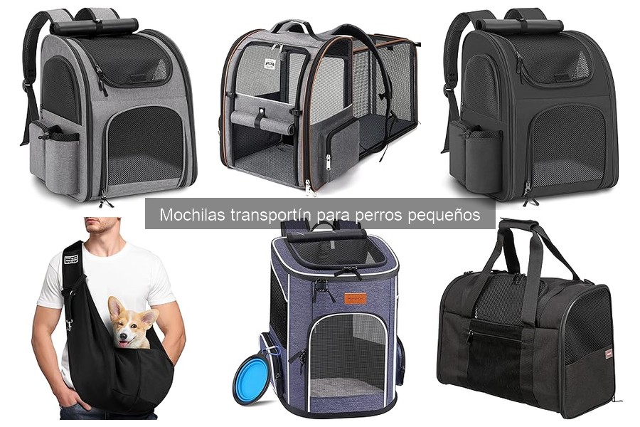 Cómo elegir la mejor mochila transportín para perros pequeños