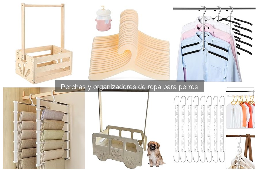 Cómo elegir la mejor percha para perros y gatos