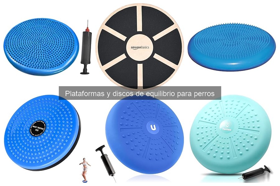 Cómo elegir la mejor plataforma de equilibrio para perros