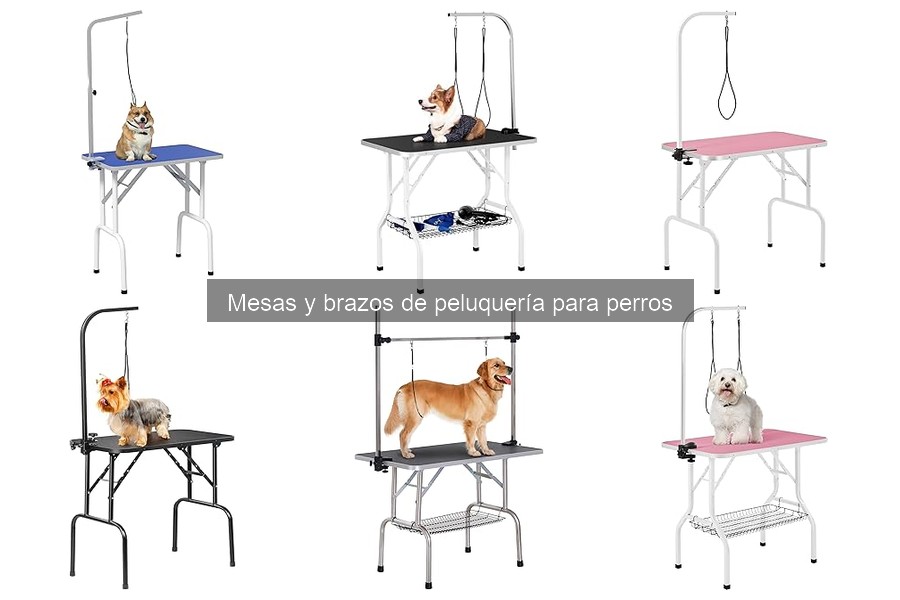Cómo elegir la mesa de peluquería adecuada para tu perro