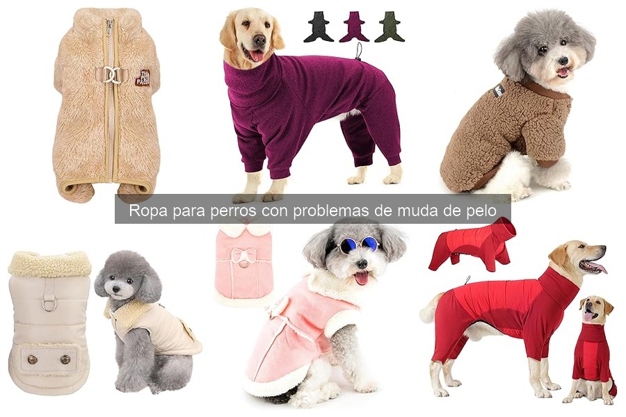 Cómo elegir la talla correcta de ropa para perros que mudan