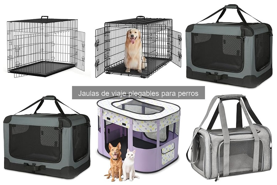 Cómo elegir la talla perfecta de jaula de viaje para perros