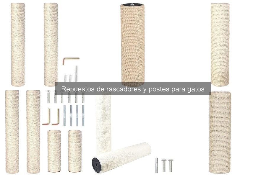 Cómo elegir repuestos para rascadores de gatos