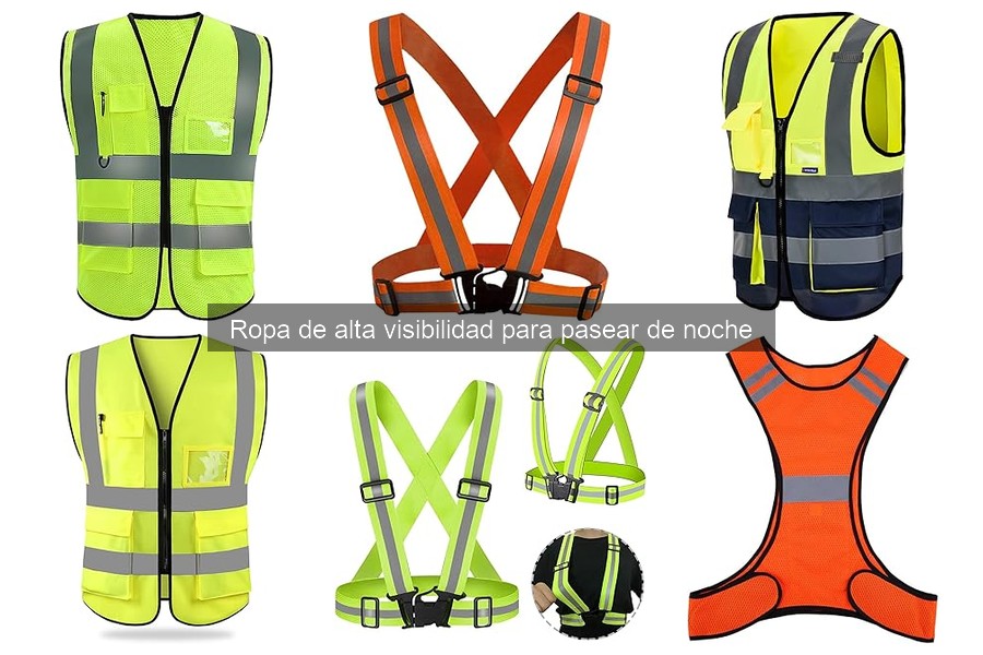 Cómo elegir ropa de alta visibilidad para tu perro