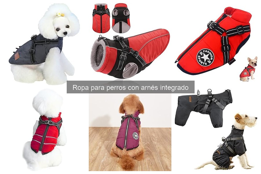 Cómo elegir ropa para perros con arnés integrado