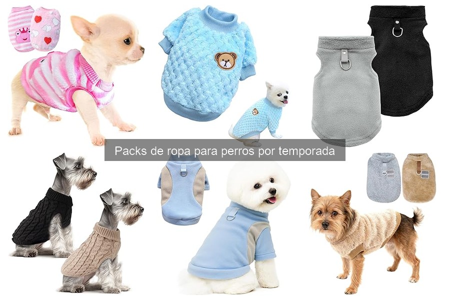 Cómo elegir ropa para perros según la actividad