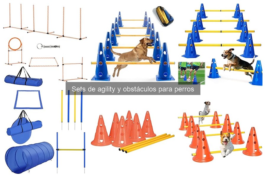 Cómo Elegir un Set de Agility para Tu Perro