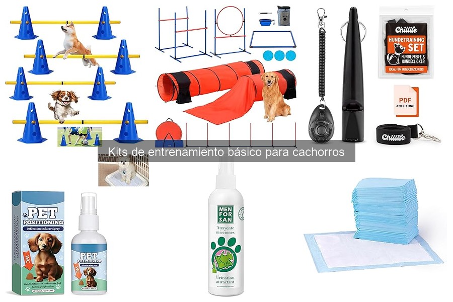 Cómo enseñar comandos básicos a tu cachorro con kits