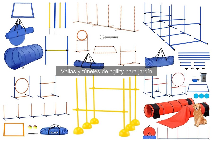 Cómo entrenar a tu perro con vallas y túneles de agility