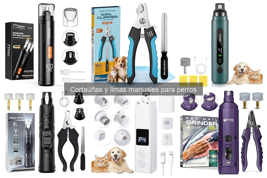 Cómo entrenar a tu perro para cortarle las uñas sin problemas