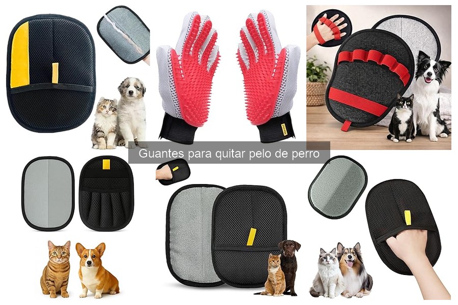 Cómo evitar irritaciones al usar guantes para quitar pelo de perro
