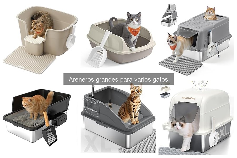 Cómo evitar peleas en areneros grandes para gatos