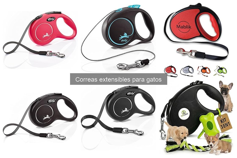 Cómo evitar problemas de comportamiento con correas extensibles para gatos