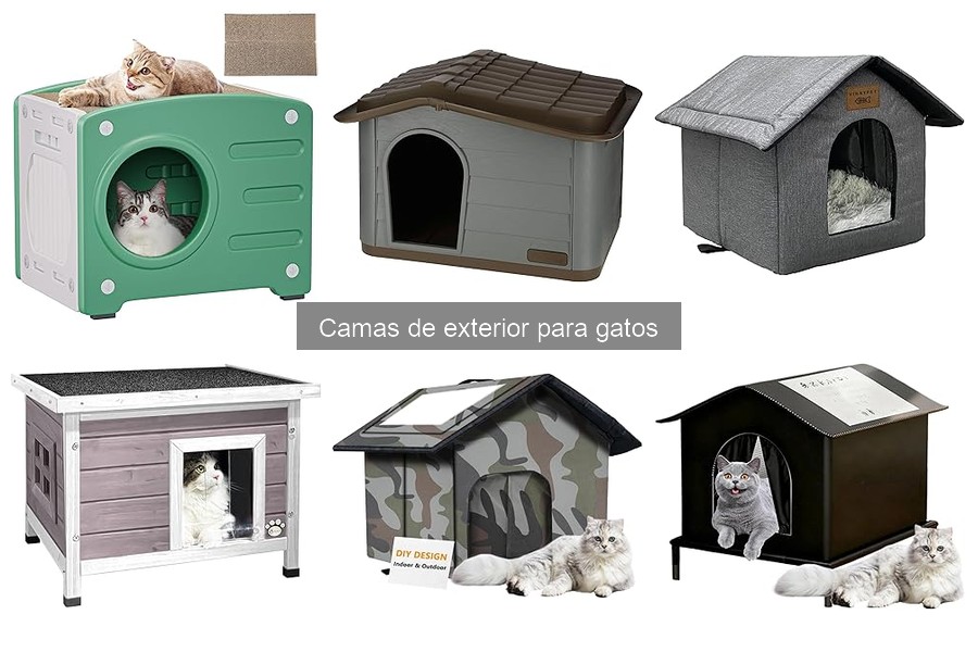 Cómo hacer una cama de exterior para gatos DIY fácil