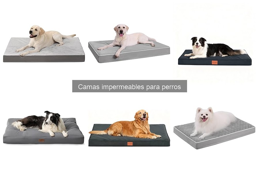 Cómo instalar camas impermeables para perros en casa