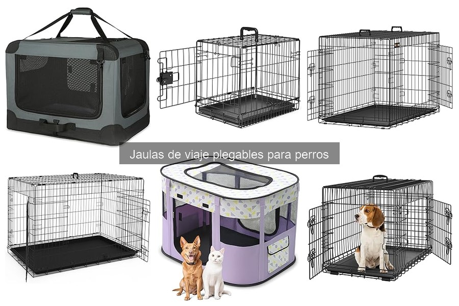 Cómo Instalar Jaulas de Viaje Plegables para Perros