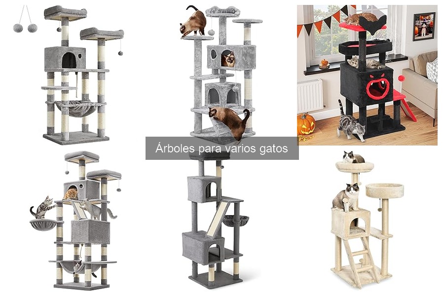 Cómo Instalar un Árbol para Gatos de Forma Segura