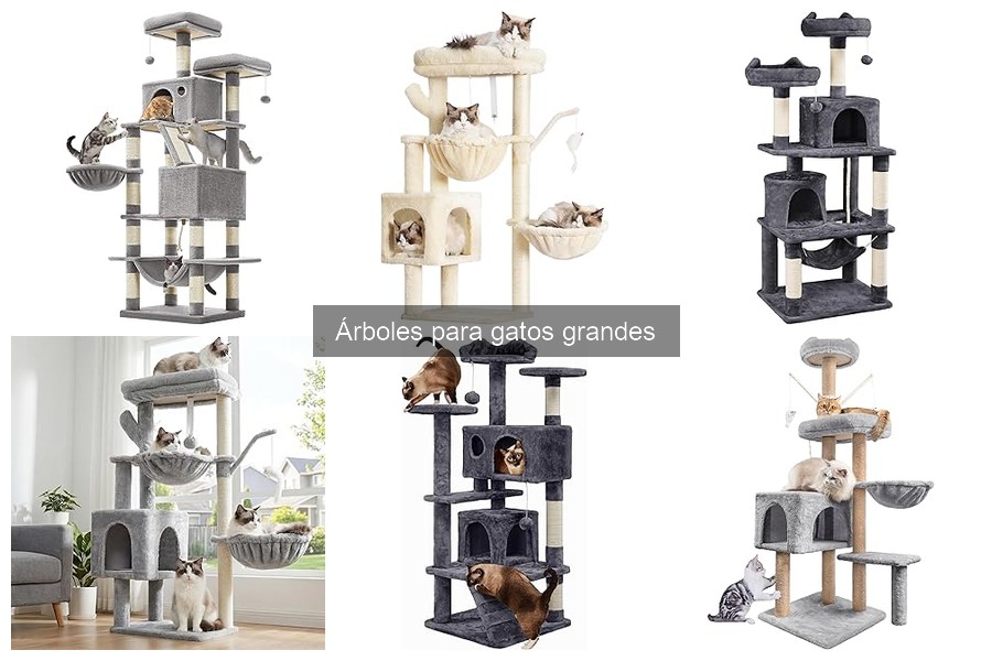 Cómo instalar un árbol para gatos grandes de forma segura