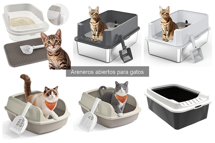 Cómo Instalar un Arenero Abierto para Gatos en 5 Pasos