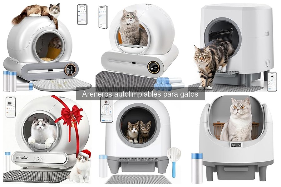 Cómo instalar un arenero autolimpiable para gatos