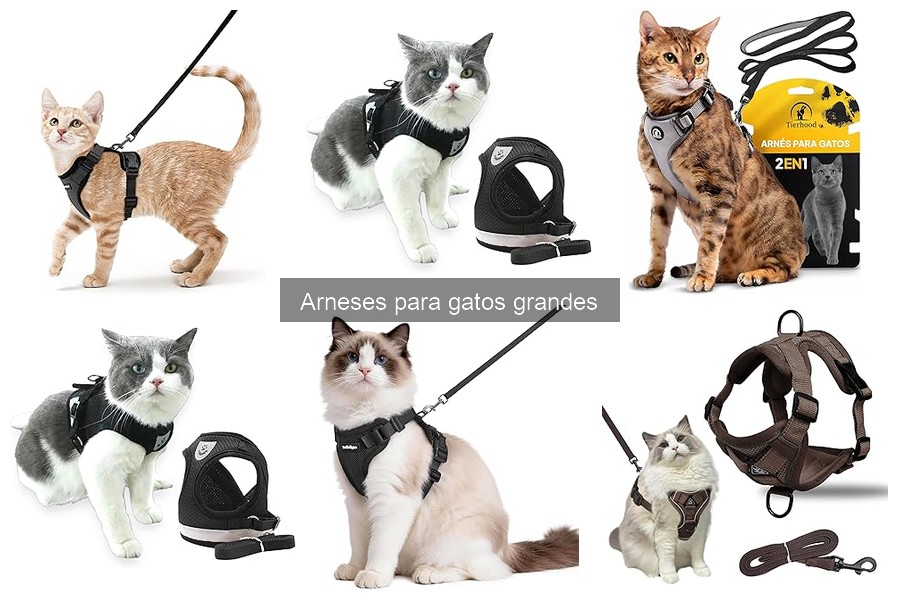 Cómo Instalar un Arnés en Gatos Grandes: Guía Práctica
