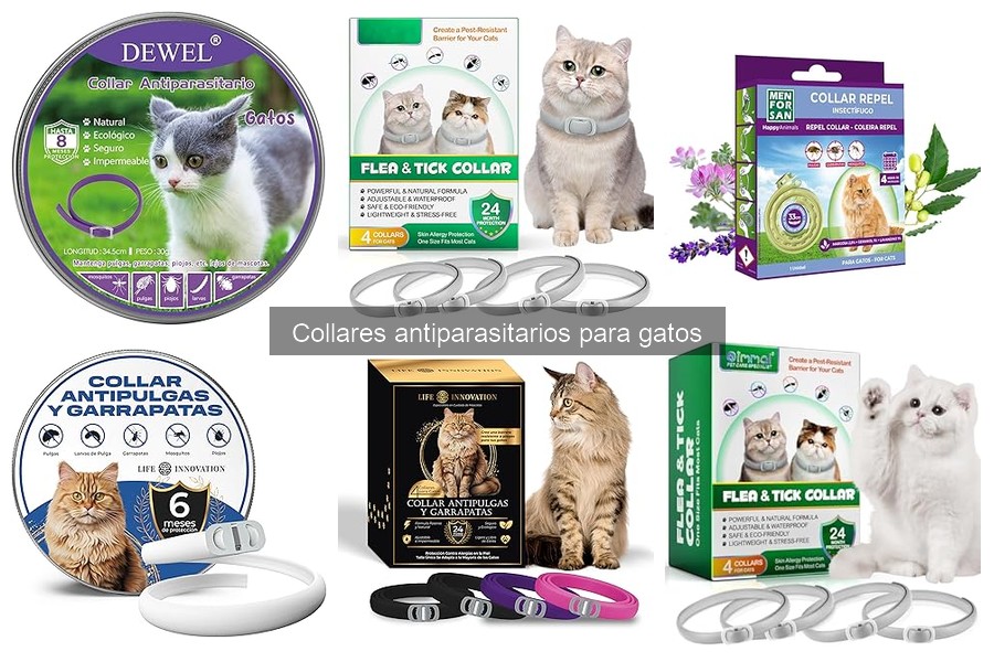 Cómo instalar un collar antiparasitario en tu gato