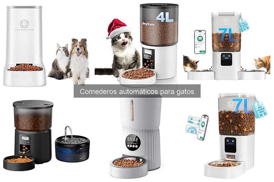 Cómo instalar un comedero automático para gatos fácilmente