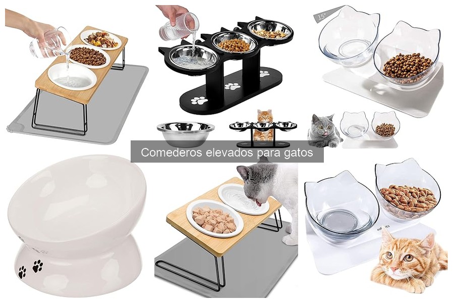 Cómo instalar un comedero elevado para gatos fácilmente
