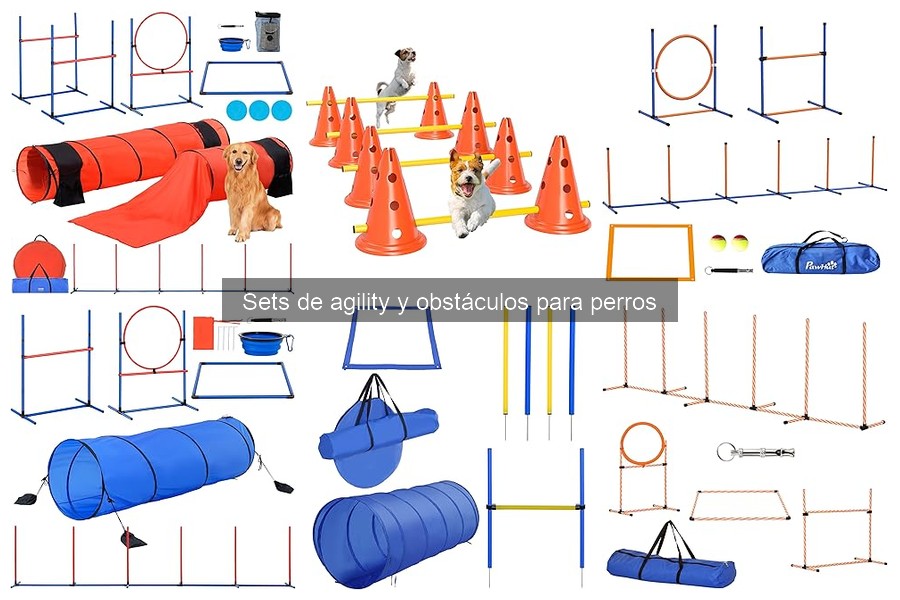 Cómo instalar un set de agility para perros en casa