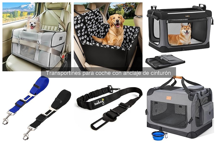Cómo instalar un transportín de coche con anclaje de cinturón