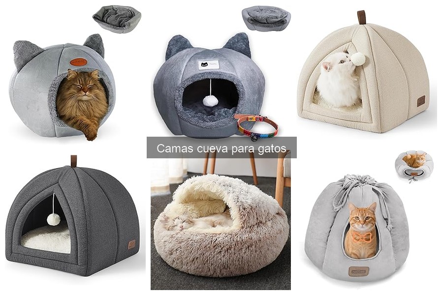 Cómo Instalar una Cama Cueva para Gatos Correctamente