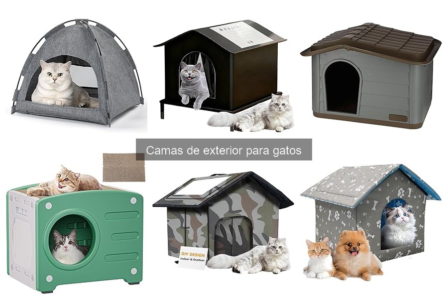 Cómo instalar una cama de exterior para gatos correctamente